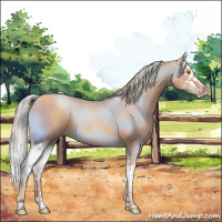 Horse Color:Gold Champagne Splash 