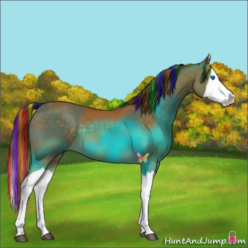 Horse Color:Painted Buckskin Splash 