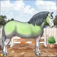 Horse Color:Watercolor Grullo Onyx Sabino Splash