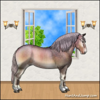Horse Color:Silver Smoky Blue Onyx
