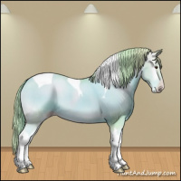 Horse Color:Watercolor Gold Champagne Onyx Sabino Tobiano