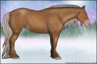 Horse Color:Gray Silver Classic Champagne 