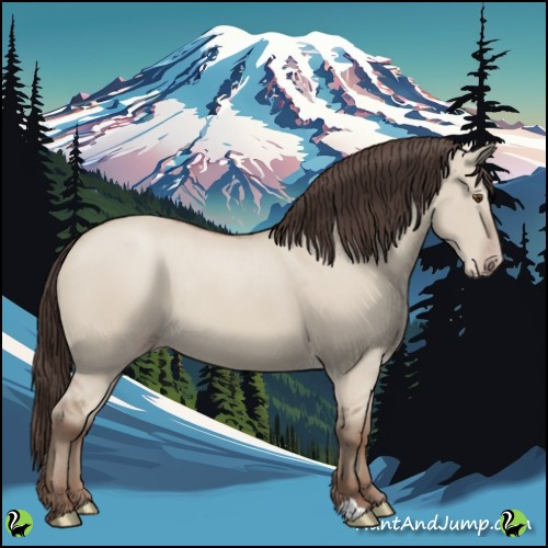 Horse Color:Classic Champagne Dun Rabicano 