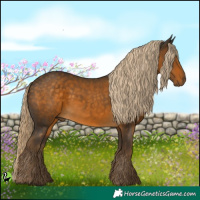 Horse Color:White Spotted Chocolate Palomino 