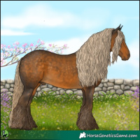 Horse Color:White Spotted Chocolate Palomino 