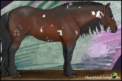 Horse Color:White Spotted Brown 