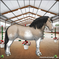 Horse Color:White Spotted Brown Dun 