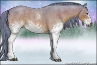 Horse Color:Gray Watercolor White Spotted Brown Roan 