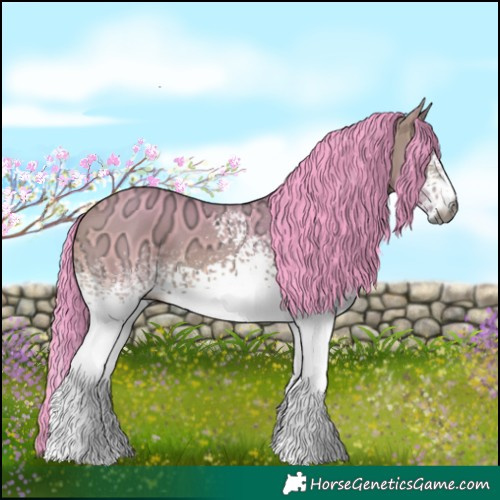 Horse Color:Gray Watercolor White Spotted Buckskin Ice 