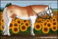 Horse Color:Silver Bay Onyx Sabino Splash Appaloosa 