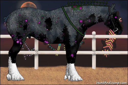 Horse Color:ERROR: UNKNOWN ANOMALY