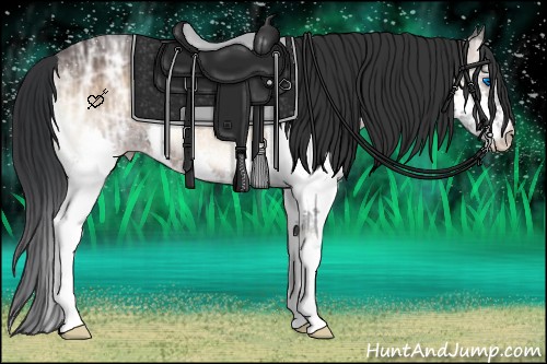Horse Color:Brown Ice Onyx Splash