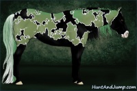 Horse Color:Watercolor White Spotted Liver Chestnut Splash 