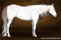 Horse Color:White Spotted Amber Champagne Ice Splash Near Leopard 