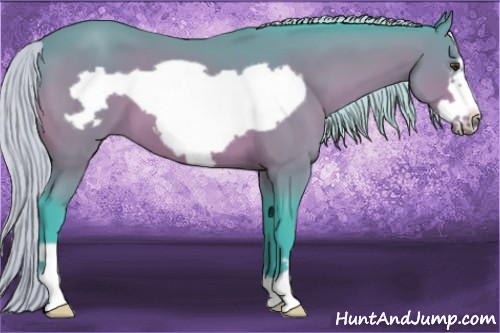 Horse Color:Watercolor Silver Bay Frame 