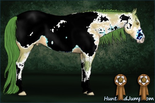 Horse Color:Watercolor Amber Champagne Sabino Appaloosa 