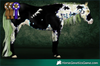 Horse Color:Watercolor Amber Champagne Sabino Appaloosa