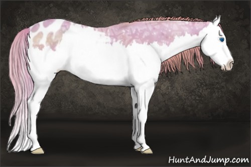 Horse Color:Watercolor Gold Champagne Ice Sabino Splash Blanket