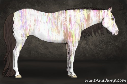 Horse Color:White Spotted Amber Champagne Ice