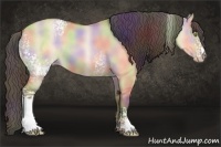 Horse Color:Nacre White Spotted Amber Champagne Dun