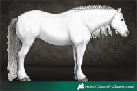 Horse Color:Liver Red Onyx Roan Splash Appaloosa Rabicano