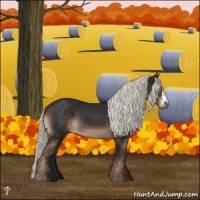 Horse Color:Liver Chestnut Mushroom 