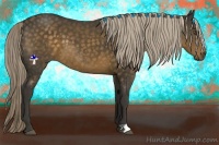 Horse Color:Chocolate Palomino 