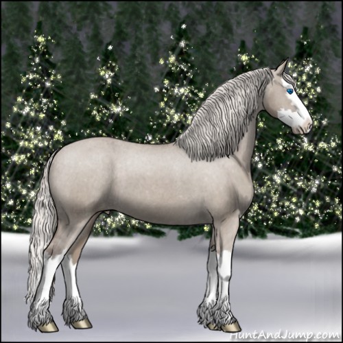 Horse Color:Silver Grullo Sabino Splash Varnish