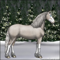 Horse Color:Silver Grullo Sabino Splash Varnish