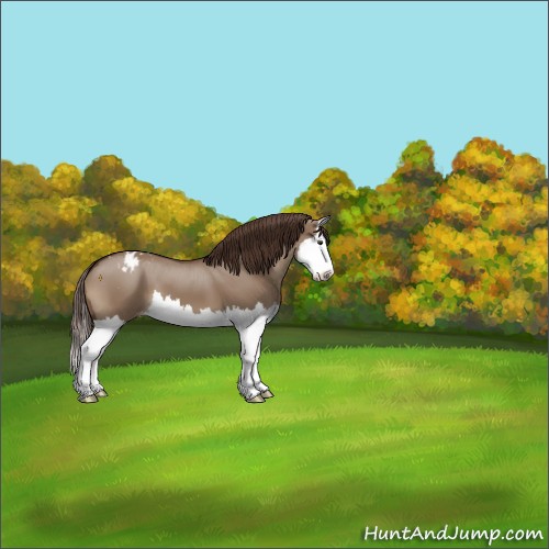 Horse Color:Liver Red Dun Splash Varnish 