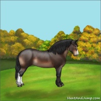 Horse Color:Brown 
