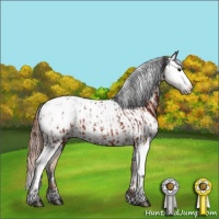 Horse Color:Bay Splash Blanket  and Bay Dun Snowcap 