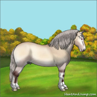 Horse Color:Gray Chocolate Silver Bay Chinchilla Roan Onyx Rabicano 