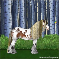 Horse Color:Painted Brown Sabino Splash Tobiano