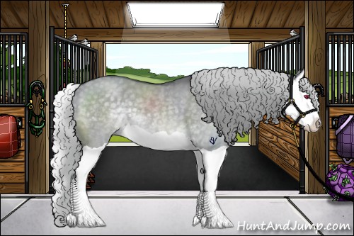 Horse Color:Silver Grullo Chinchilla Splash