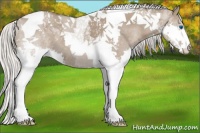 Horse Color:Silver Grullo Splash Tobiano 