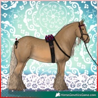 Horse Color:Chocolate Palomino Mushroom 