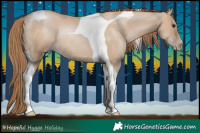 Horse Color:Grullo Pearl Tobiano Rabicano 