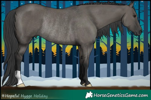 Horse Color:Grullo Rabicano 