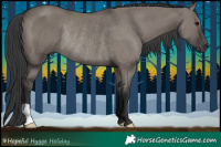 Horse Color:Grullo Rabicano 