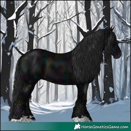 Horse Color:Gray Midnight Black 