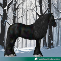 Horse Color:Gray Midnight Black 