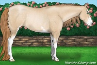 Horse Color:Smoky Black Pearl Sabino Rabicano