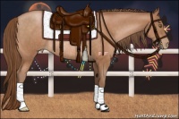 Horse Color:Brown Pearl Rabicano