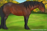 Horse Color:Brown 