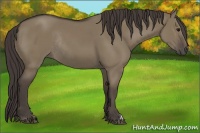 Horse Color:Smoky Grullo Rabicano 