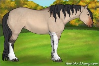 Horse Color:Brown Dun Tobiano Rabicano