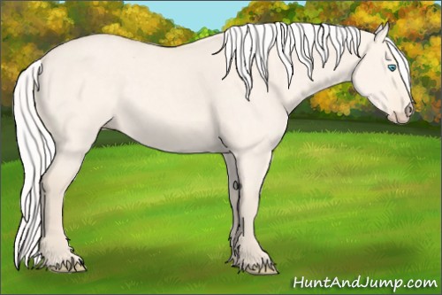 Horse Color:Silver Perlino Dun Rabicano 
