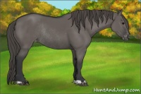 Horse Color:Grullo Varnish Rabicano 