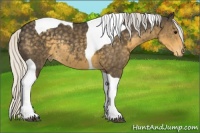 Horse Color:Silver Smoky Black Tobiano Appaloosa Rabicano